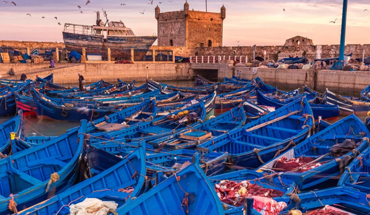 Morocco Tours And Trips - Full Day Trip from Marrakech to Essaouira Beach - Main